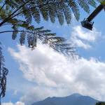 Luthfianti Zhafarina Profile Picture