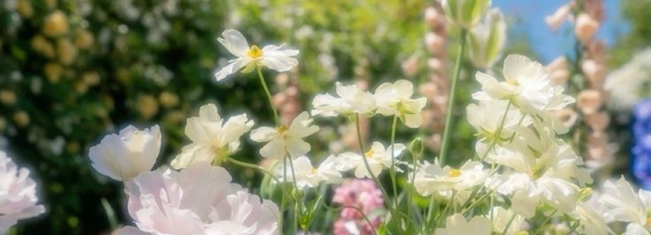 Afiyah Cover Image