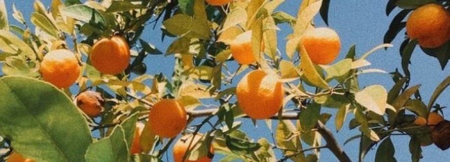 Olengka Akalilli Cover Image