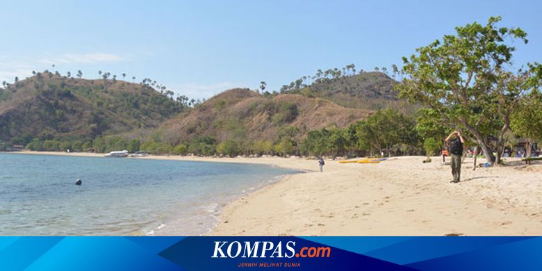 Sebagian Pasir Pantai Berasal dari Kotoran Ikan, Kok Bisa?