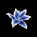 Najla Humaira Profile Picture