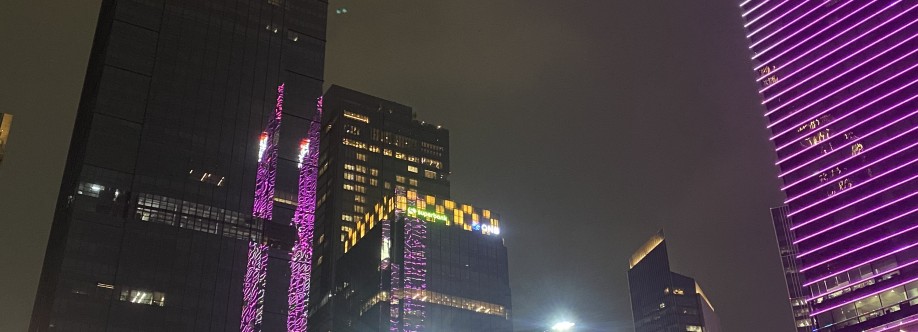 Aruunieilma Shalihah Cover Image