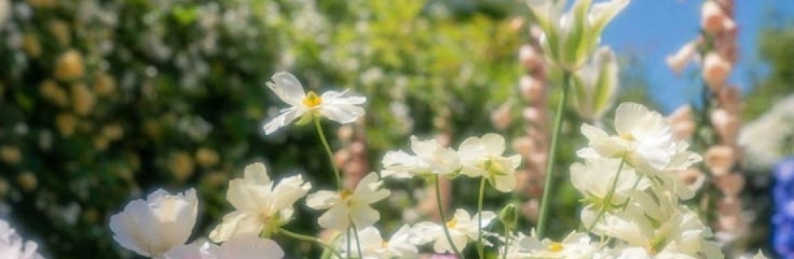 Sofiaa_23 Cover Image