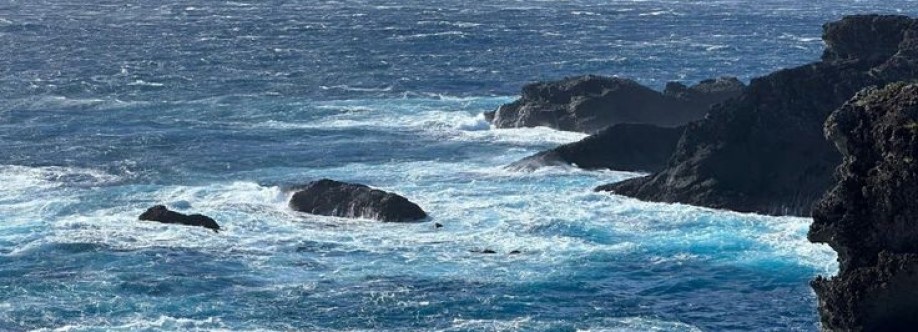 fatima alifah Cover Image