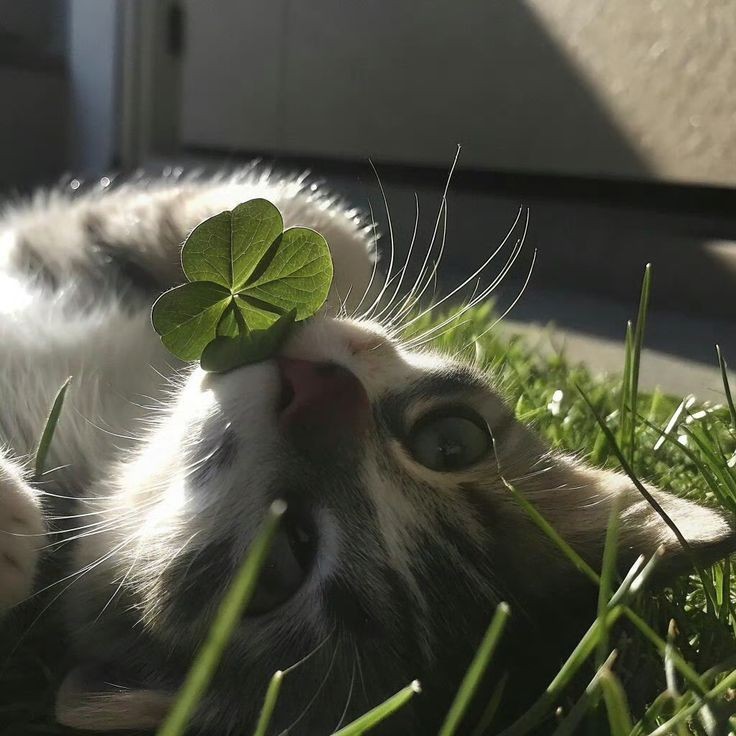 Nadhira Azzahra Profile Picture