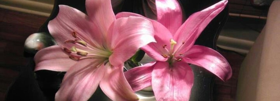 Khansa Alya Cover Image