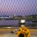 Dian Aditya Ningrum Profile Picture