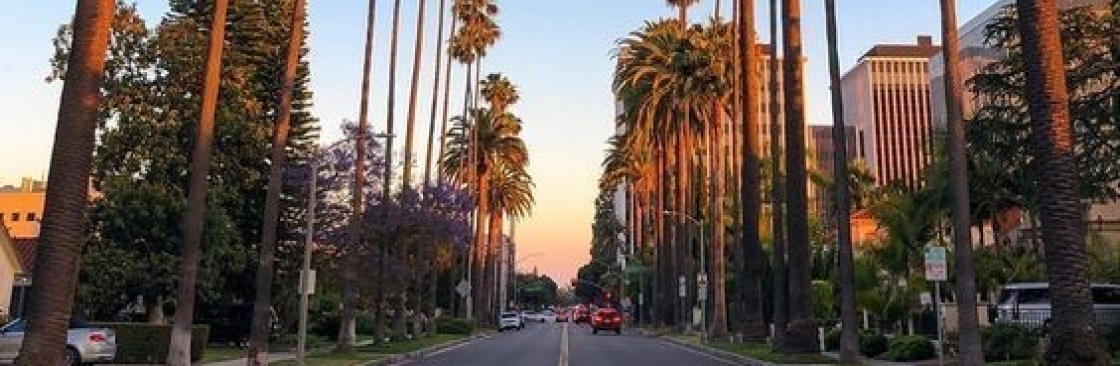 Shafiyya miska ghassani Cover Image