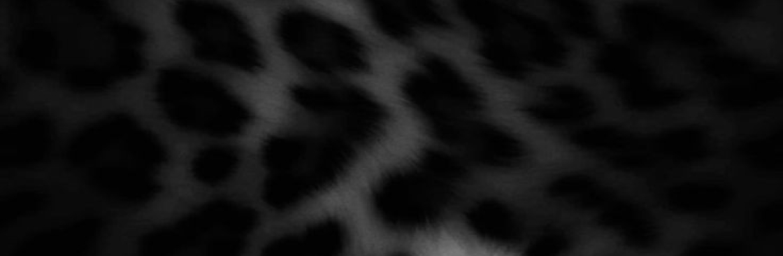 Lalaa Cover Image